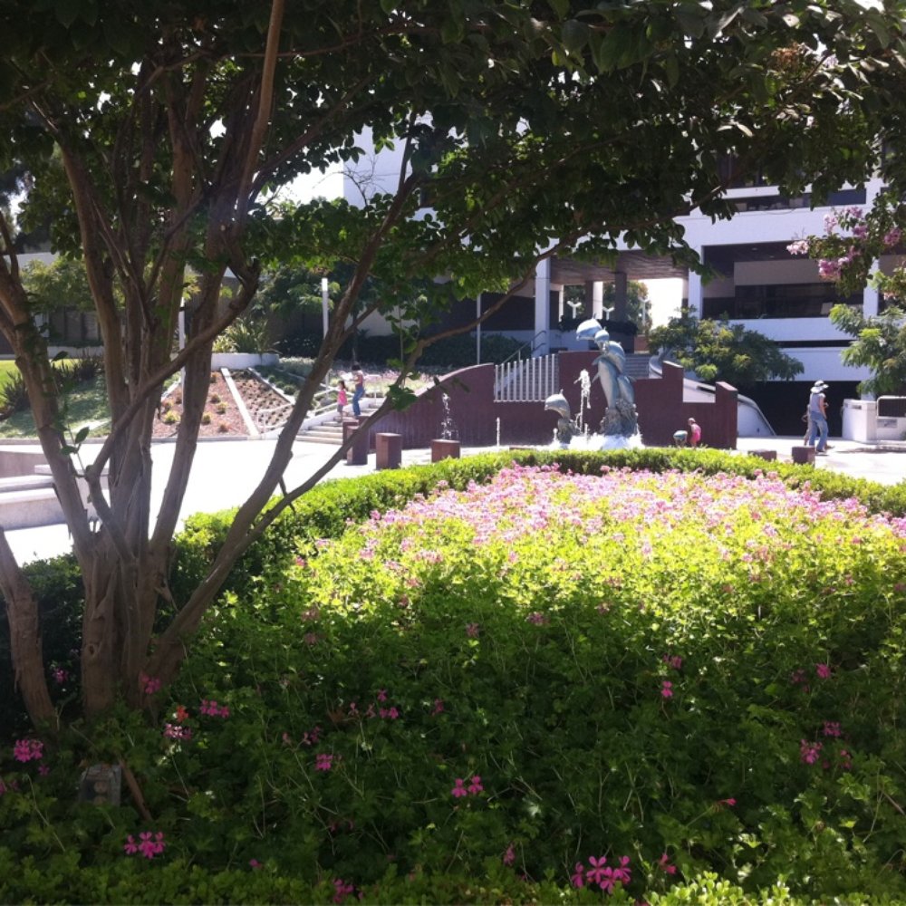 Cerritos Library - Libraries Near Me - Cerritos, California