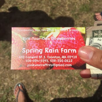 Spring Rain Farm - a person holding up a business card - Farmers Market Near Me - Taunton, Massachusetts