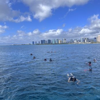 Honolulu Snorkel - Snorkeling in Oahu - Snorkeling Near Me - Honolulu, Hawaii