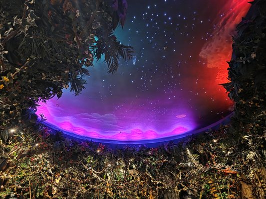 Rainforest Cafe by null