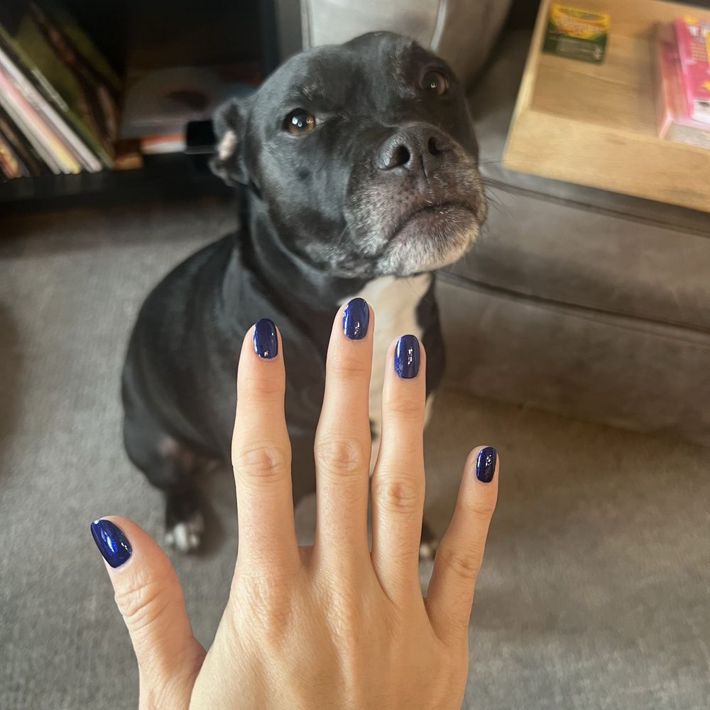 TT Nails - Nail Salons Near Me - Chicago, Illinois TT Nails - Nail Salons Near Me - Chicago, Illinois
