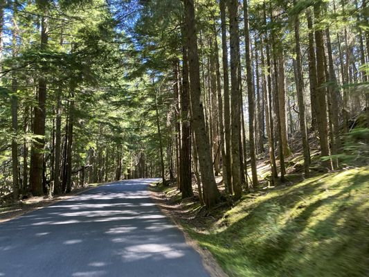 Moran State Park by null