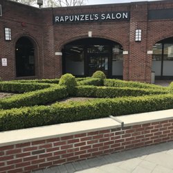 Rapunzel Hair Design