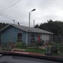 Photo of Maries Paw Spa