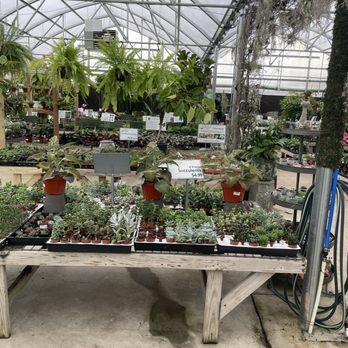 North Haven Gardens - Nurseries & Gardening Near Me - Dallas, Texas North Haven Gardens - Nurseries & Gardening Near Me - Dallas, Texas