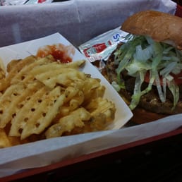Turkey Burger Turkey Burger