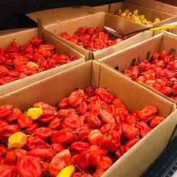 A Plus Store - Habanero Pepper