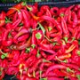 Photo of PlacerGROWN Farmers Market