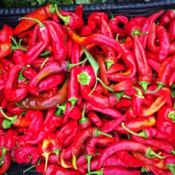 PlacerGROWN Farmers Market