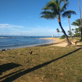 Poipu Beach - T shaped sandbar in background - Beaches Near Me - Koloa, Hawaii Poipu Beach - T shaped sandbar in background - Beaches Near Me - Koloa, Hawaii