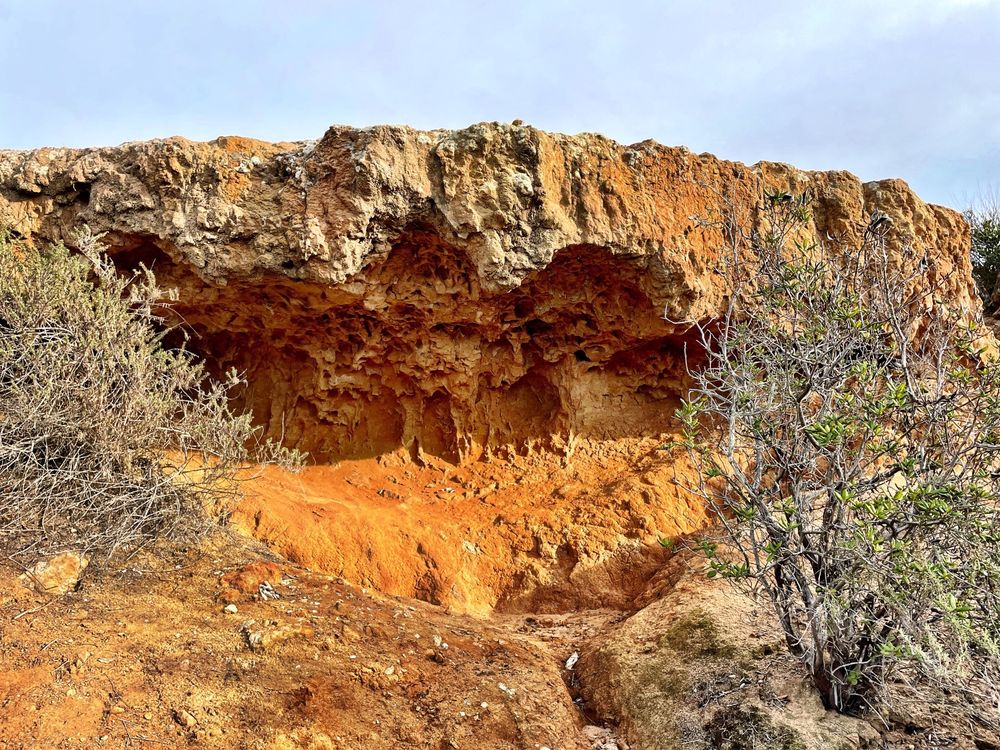 CREST CANYON PARK Updated September 2024 309 Photos Del Mar