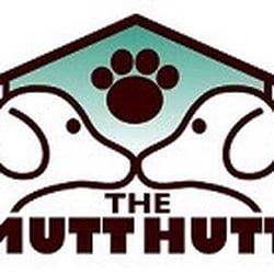 Secondhand Mutts - Our dogs are socialized in a cage-free environment at The Mutt Hutt.