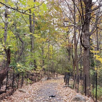Prospect Park - Parks Near Me - Brooklyn, New York Prospect Park - Parks Near Me - Brooklyn, New York