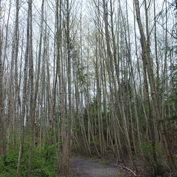 Narbeck Wetland Sanctuary - Parks Near Me - Everett, Washington Narbeck Wetland Sanctuary - Parks Near Me - Everett, Washington