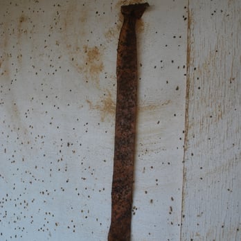 Barrier Island Station - Filthy fly paper strip at snack bar - Vacation Rentals Near Me - Kill Devil Hills, North Carolina