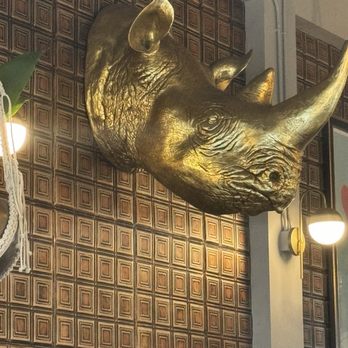 Brother Joe - regal rhino - Coffee & Tea Near Me - Seattle, Washington Brother Joe - regal rhino - Coffee & Tea Near Me - Seattle, Washington