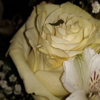 Miracle Flowers - Florists Near Me - Folsom, California Miracle Flowers - Florists Near Me - Folsom, California