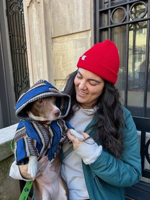 Little Dipper Pet Care - pet boarding facility in Brooklyn, NY