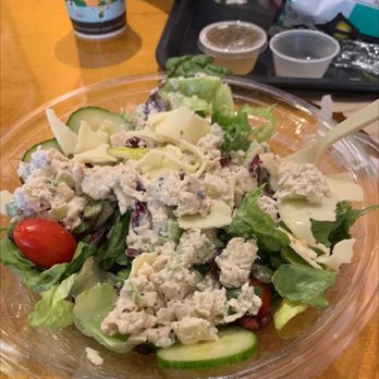 Potbelly - Chicken salad salad - Sandwiches Near Me - Mishawaka, Indiana Potbelly - Chicken salad salad - Sandwiches Near Me - Mishawaka, Indiana