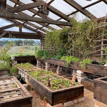 Zion Mountain Ranch - Greenhouse - Guest Houses Near Me - Mount Carmel, Utah