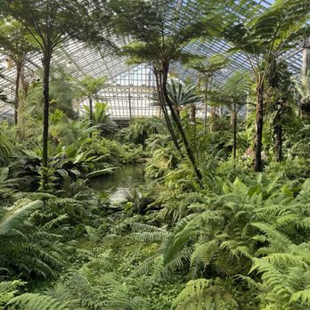Garfield Park Conservatory - Parks Near Me - Chicago, Illinois