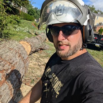 Whip's Tree Service - Tree Services Near Me Whip's Tree Service - Tree Services Near Me