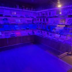 The CigarBox-Orlando