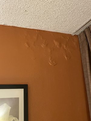 Oakland Airport Executive Hotel by null