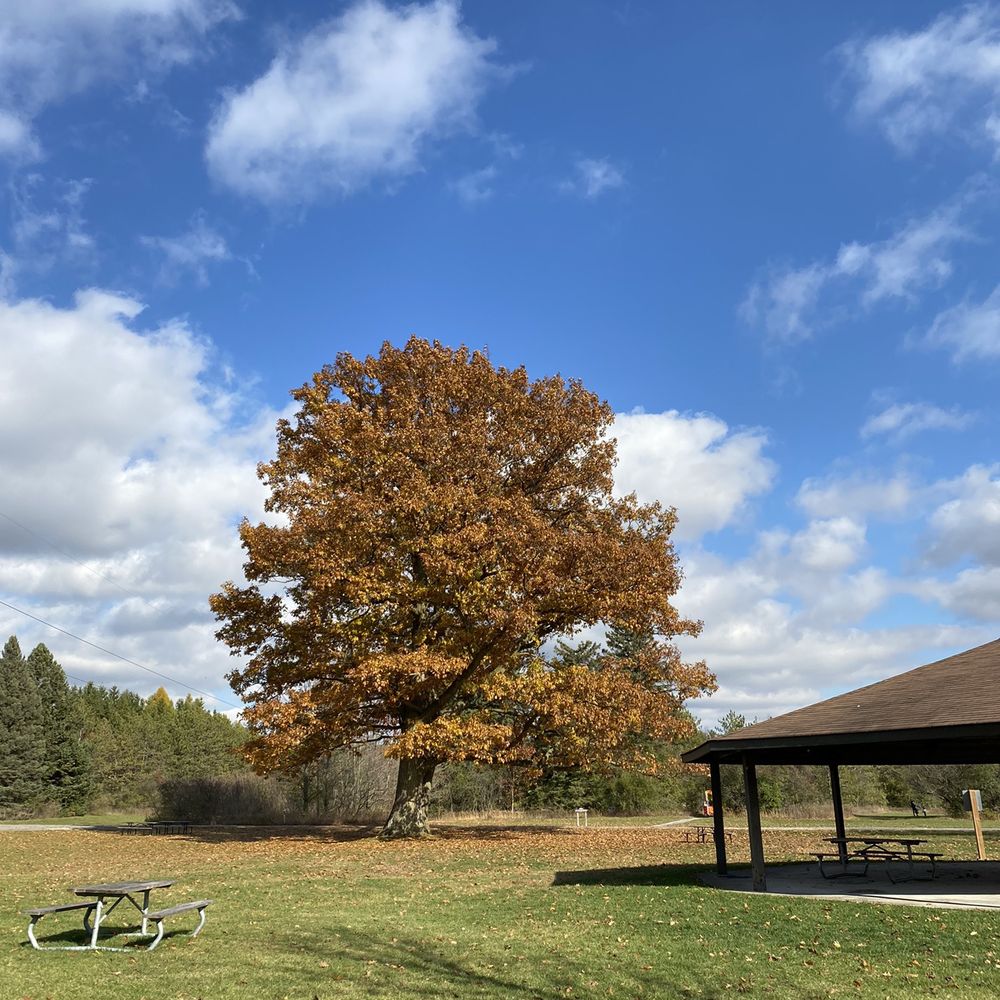 Greenwood Conservation Park - Parks Near Me - Ajax, Ontario
