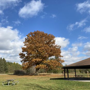 Greenwood Conservation Park - Parks Near Me - Ajax, Ontario Greenwood Conservation Park - Parks Near Me - Ajax, Ontario