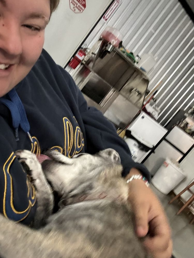 Whistler Ranch Bed And Biscuit - pet boarding facility in Blue Ridge, TX