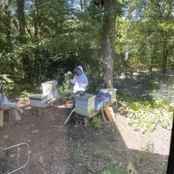 Discovery Place Nature - Bee keeper