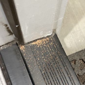 EcoGuard Pest Management - Damage - Pest Control Near Me EcoGuard Pest Management - Damage - Pest Control Near Me
