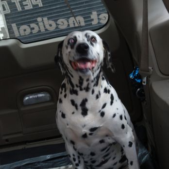 360 Pet Cab - 360 Pet Cab - Pet Transportation Near Me - Los Gatos, California 360 Pet Cab - 360 Pet Cab - Pet Transportation Near Me - Los Gatos, California