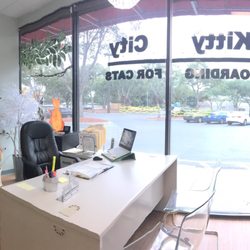 Kitty City - Front Desk