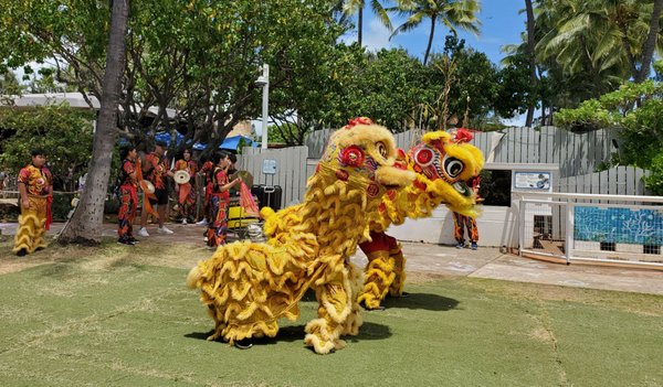 Waikiki Aquarium by null