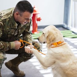 Dogtopia - Supporting our foundation.