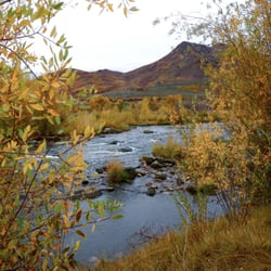 Trout Tales - Utah's world famous Provo River. We guide the Middle Provo River, Lower Provo River.