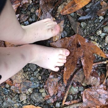 Big Trees - Encouraging using all of the senses to explore and learn. - Kids Activities Near Me - Sunnyvale, California Big Trees - Encouraging using all of the senses to explore and learn. - Kids Activities Near Me - Sunnyvale, California