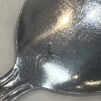 Ocha Classic Restaurant - Bug/insect flipped by itself - Thai Near Me - Panorama City, California