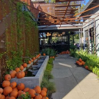 Cosmic Saltillo - Entrance - Coffee & Tea Near Me - Austin, Texas Cosmic Saltillo - Entrance - Coffee & Tea Near Me - Austin, Texas
