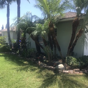 Luis Tree Service - Front yard. - Tree Services Near Me Luis Tree Service - Front yard. - Tree Services Near Me