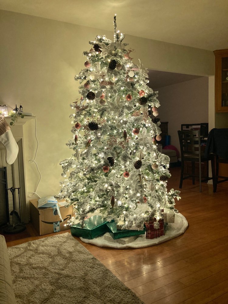 DELANCEY STREET CHRISTMAS TREES Updated April 2024 813 N Sepulveda