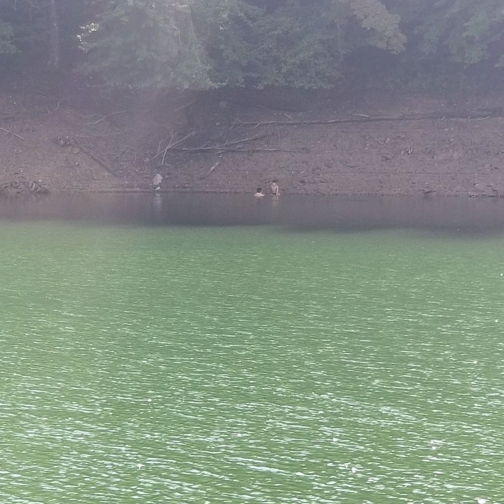 Fingerlake Day Use Area - Fishing Near Me - Bryson City, North Carolina