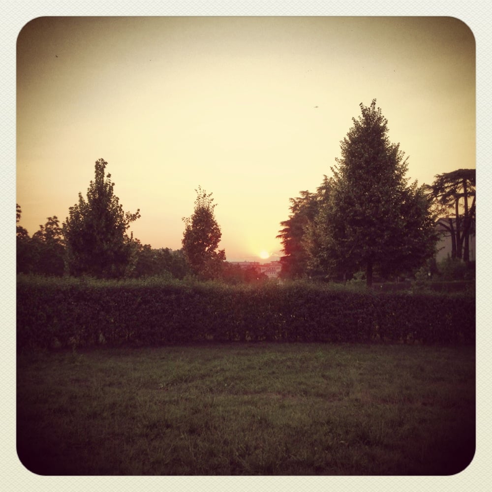 Viale Dalmazia Dog Park