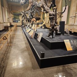 Kenosha Dinosaur Discovery Museum