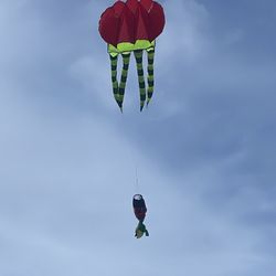 Kite!