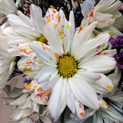 Sweet Williams Floral Shop