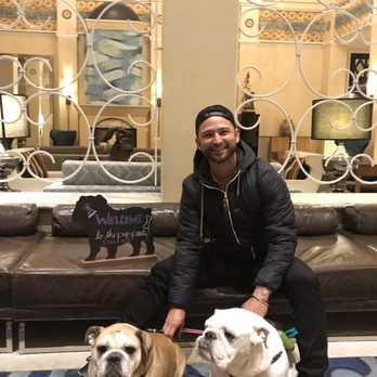 Kimpton Hotel Monaco Seattle - Indie and Olive loved their stay. - Hotels Near Me - Seattle, Washington Kimpton Hotel Monaco Seattle - Indie and Olive loved their stay. - Hotels Near Me - Seattle, Washington