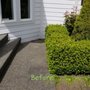 Tidy Lawn & Landscaping